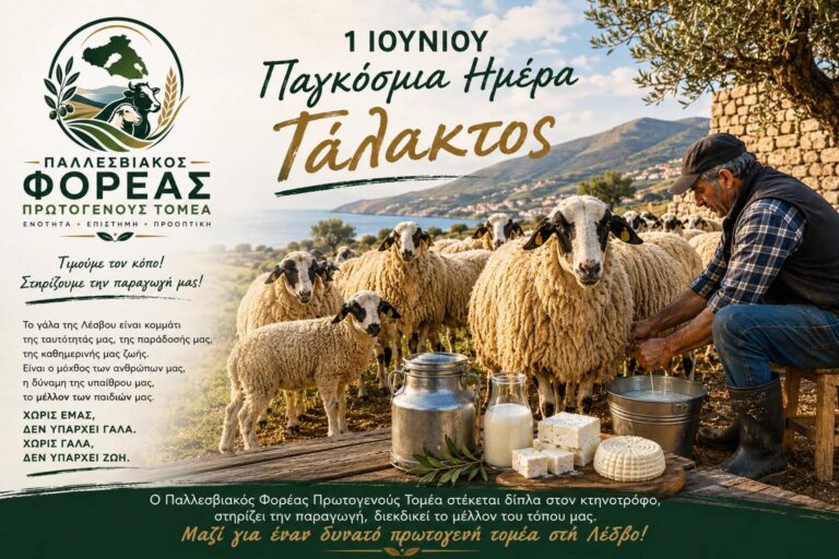 Παγκόσμια Ημέρα Γάλακτος: Στήριξη στους ανθρώπους της κτηνοτροφίας
